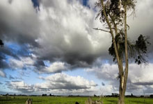 开云APP-西雅图海湾者球迷现场助威，激发球队夺冠斗志