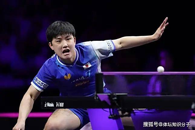 包含波兰乒乓球队翻盘中国乒乓球队，张本智和关键制胜的词条