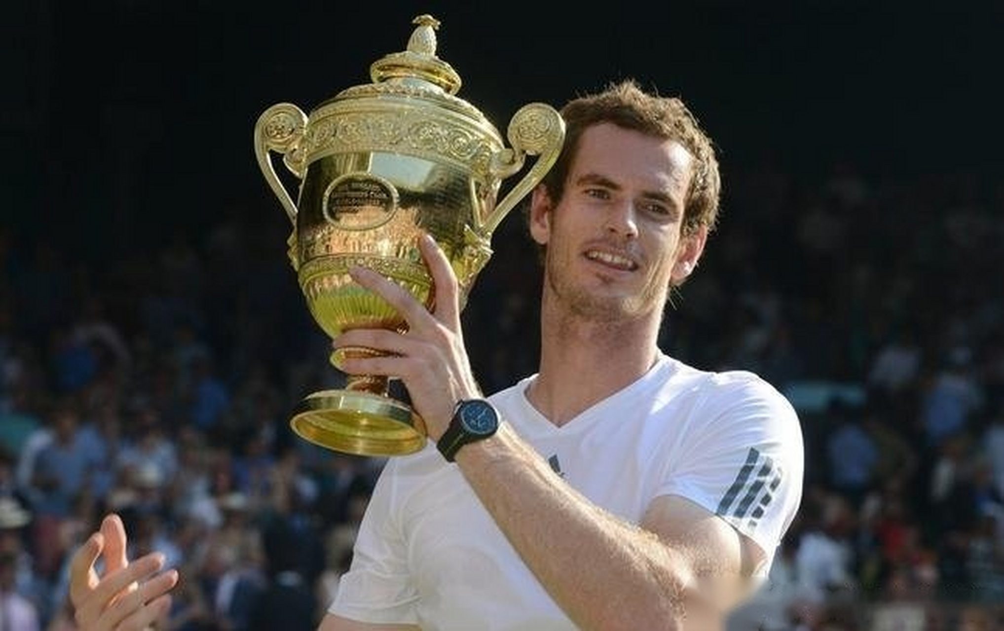 关于美网力克澳网，穆雷惊艳四座的信息