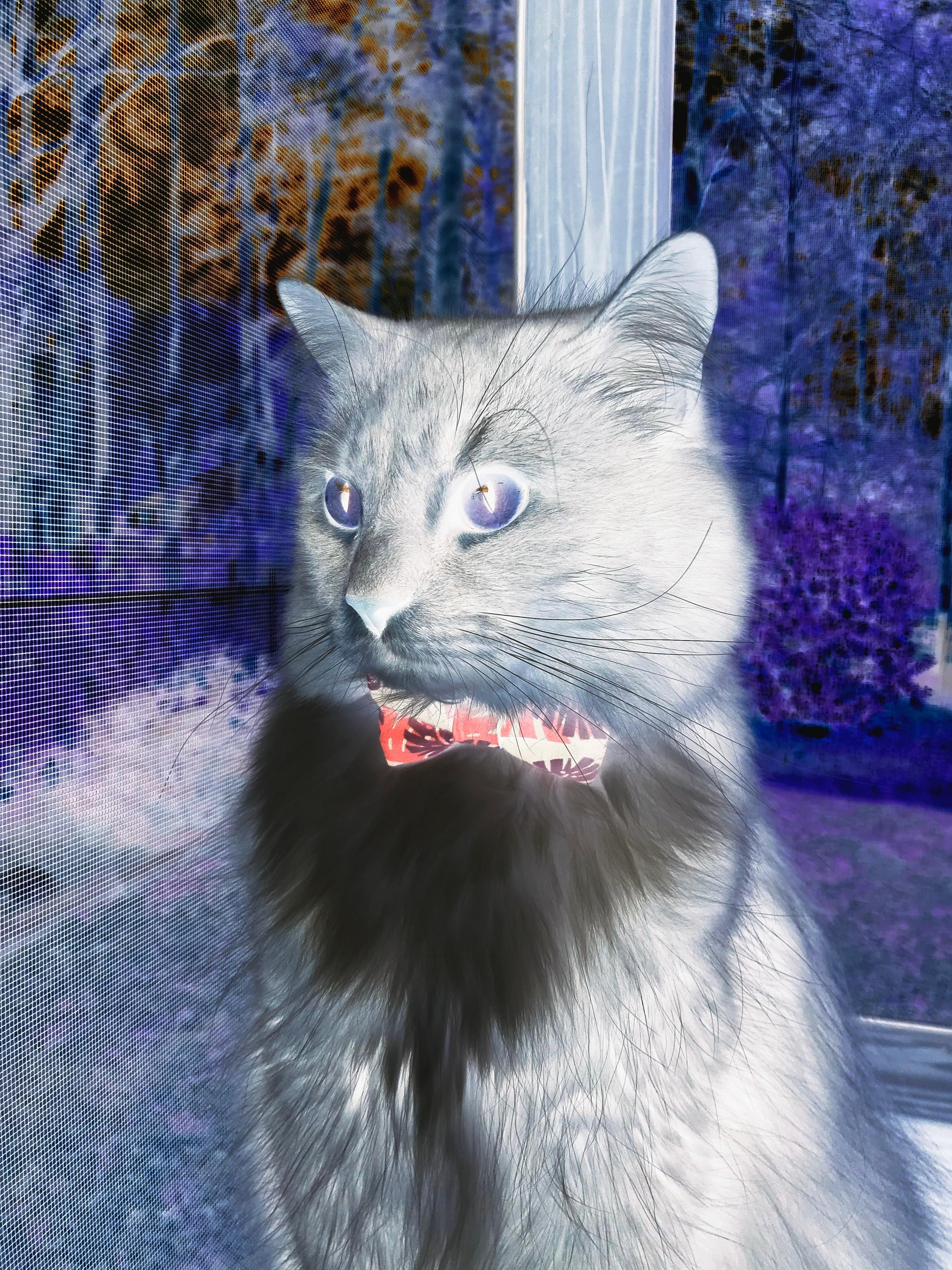 跨界竞技风暴，辽宁队火力席卷奇才，字母哥F1赛道霸气接管