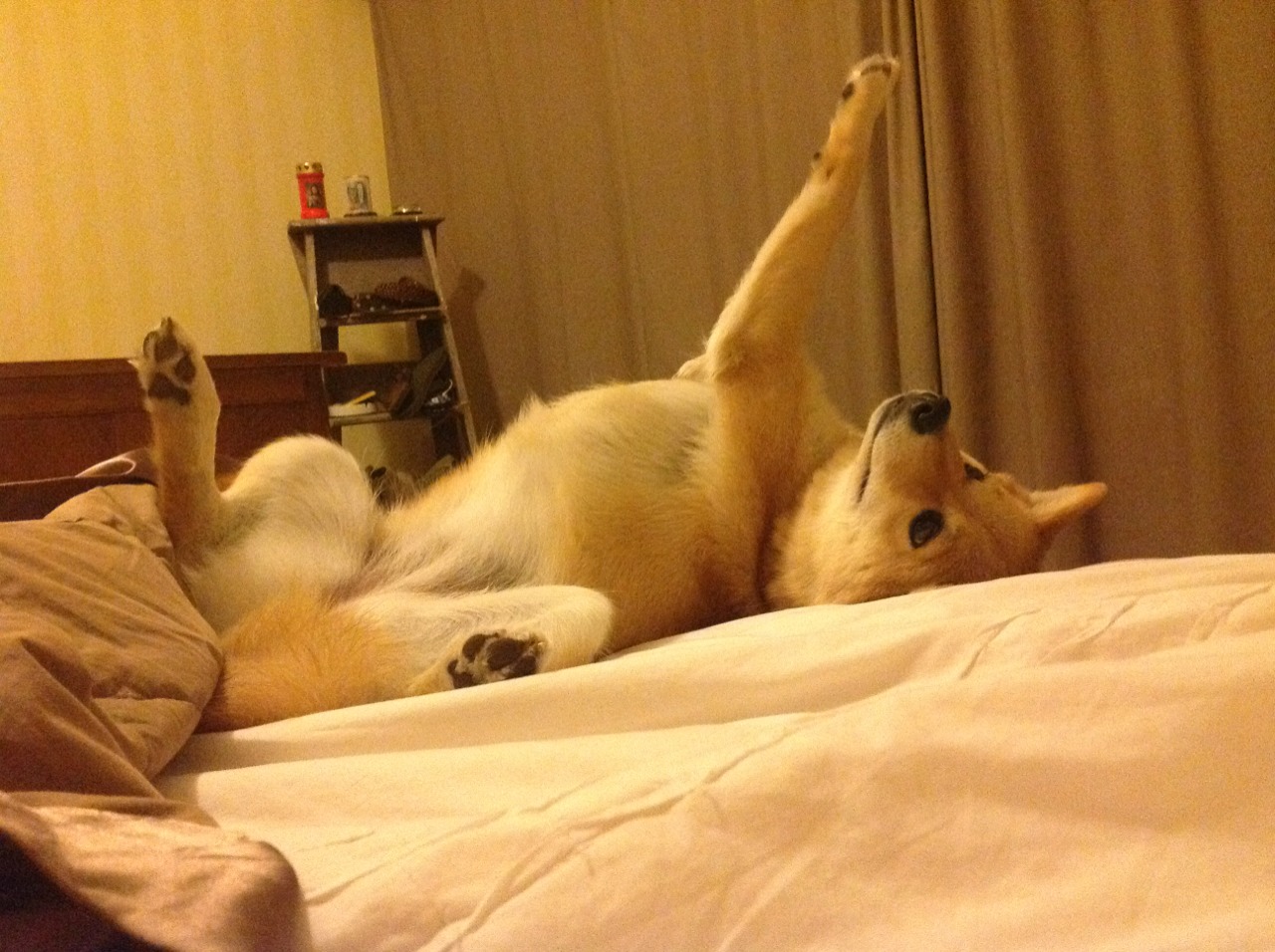 璀璨之夜,卢卡库在年度焦点战中展露个人巅峰能力