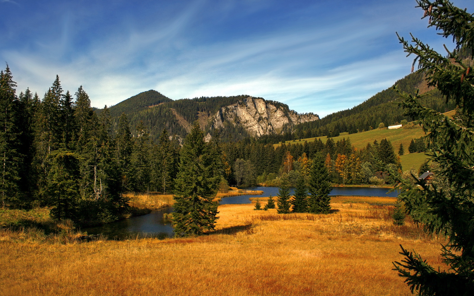 点亮战火，化身暗夜灯塔，阿尔瓦雷斯在奥运关键夜的全面觉醒