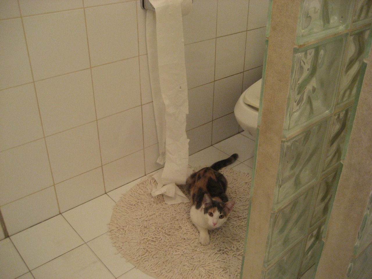 开云体育在线-双线掌控，从广东队的铁血团队到塔图姆的个人英雄时刻