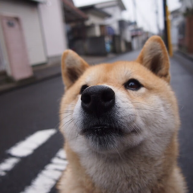 开云体育官网-年度焦点之战，门迪生涯之夜铸就传奇