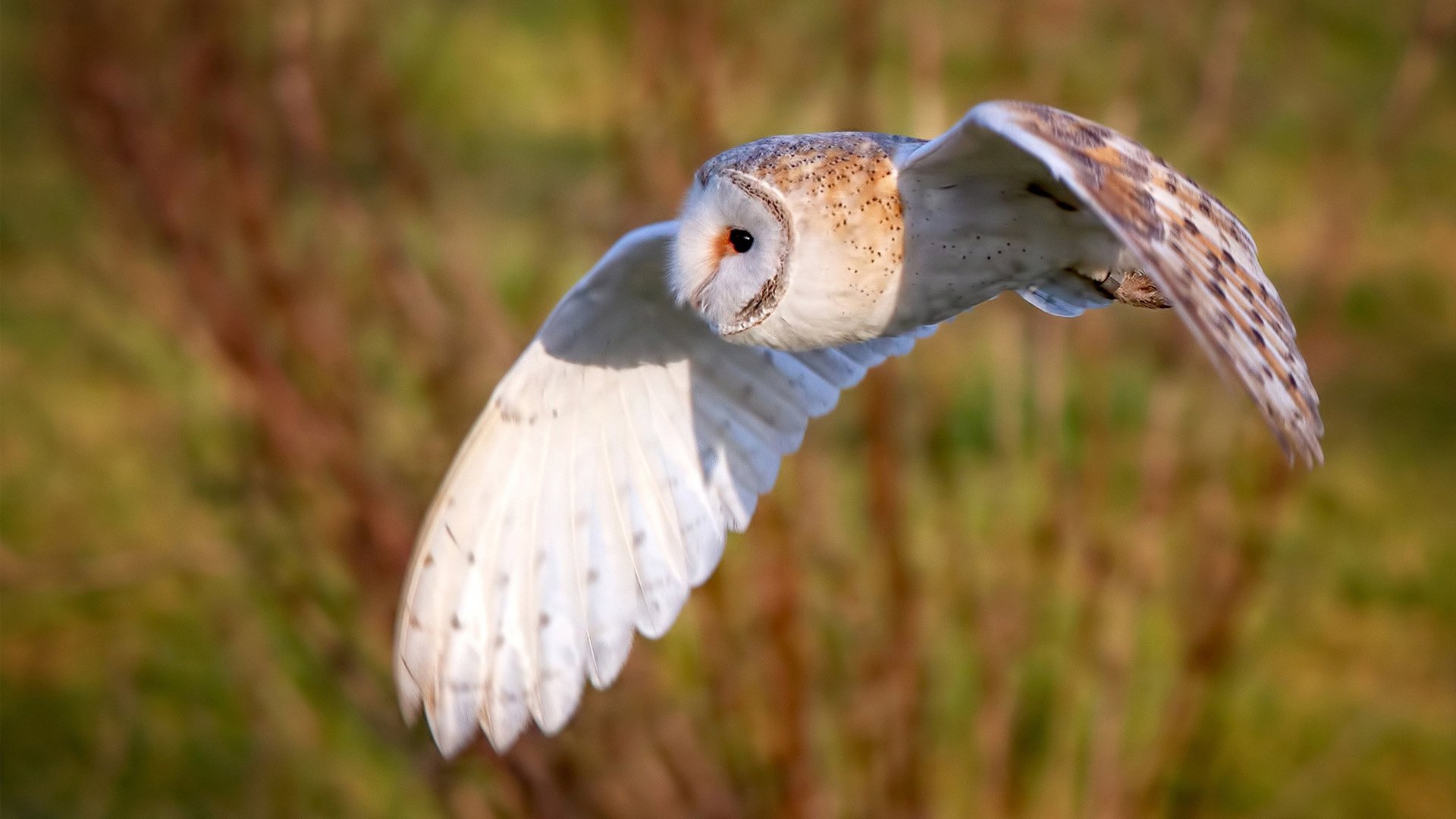开云体育下载-绝杀与传奇，当山西队隔空对话马克西，诠释篮球的孤胆与荣光