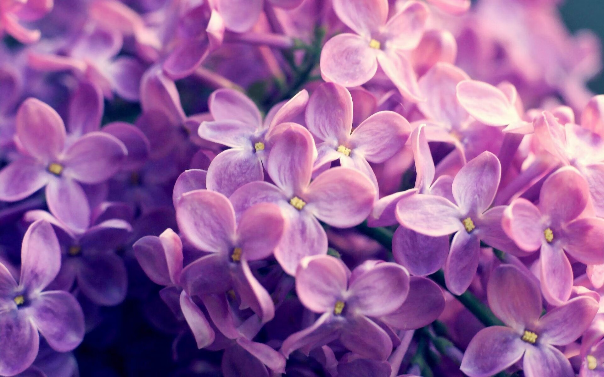 鹈鹕单节风暴！班凯罗替补席杀出改变战局