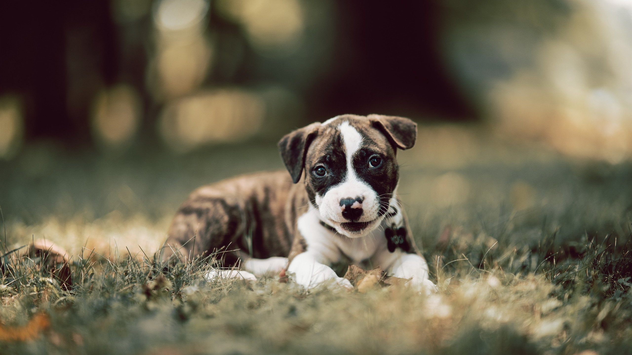 京灭北岸花园！记那场跨时空的季后赛抢七焦点战