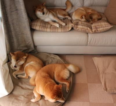 开云体育入口-德国踏平尼日利亚，卡拉斯科关键时刻站出来—一场经典对决的回顾