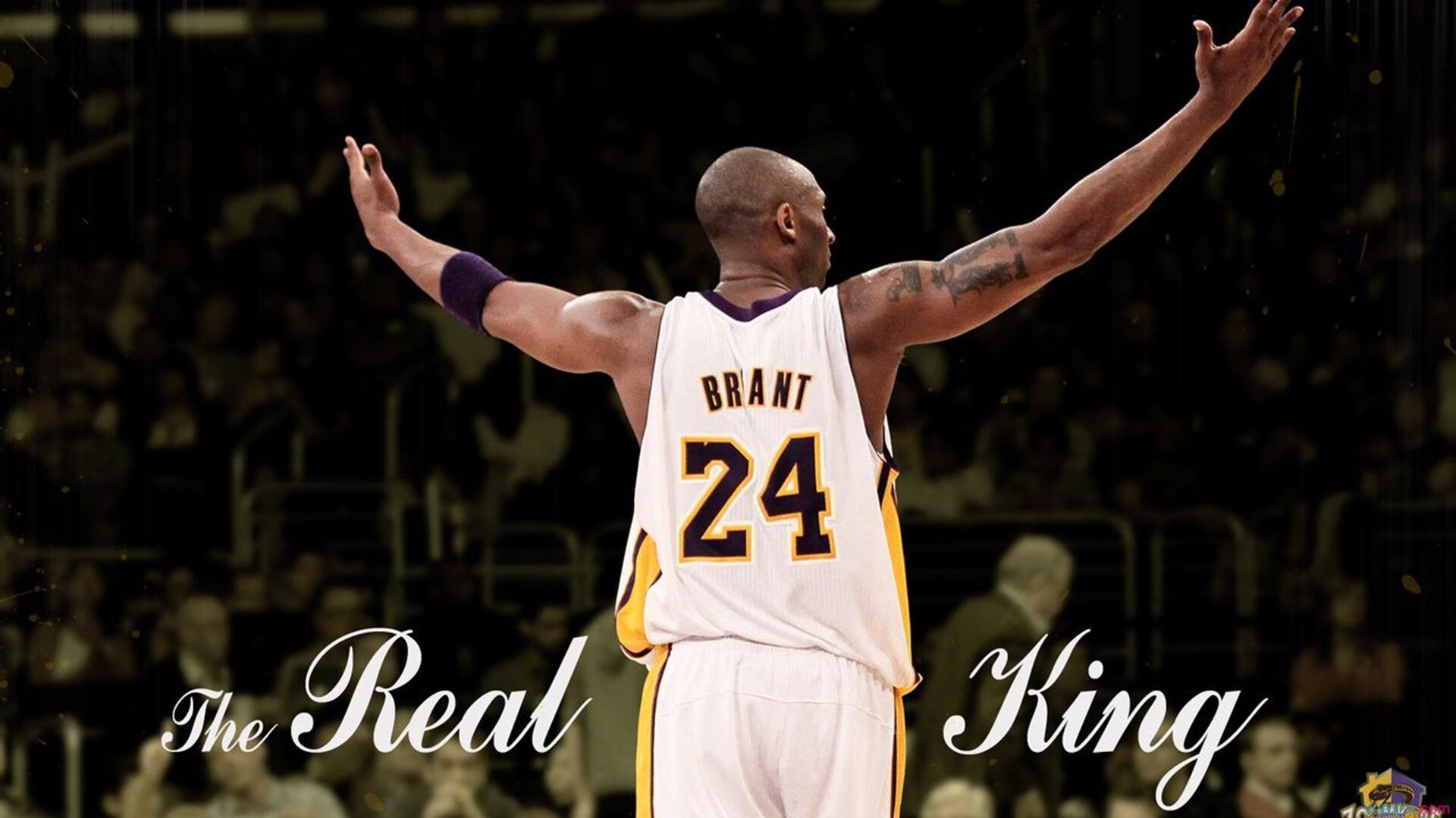 喀麦隆节奏致胜秘鲁,卡拉斯科满分表现惊艳全场