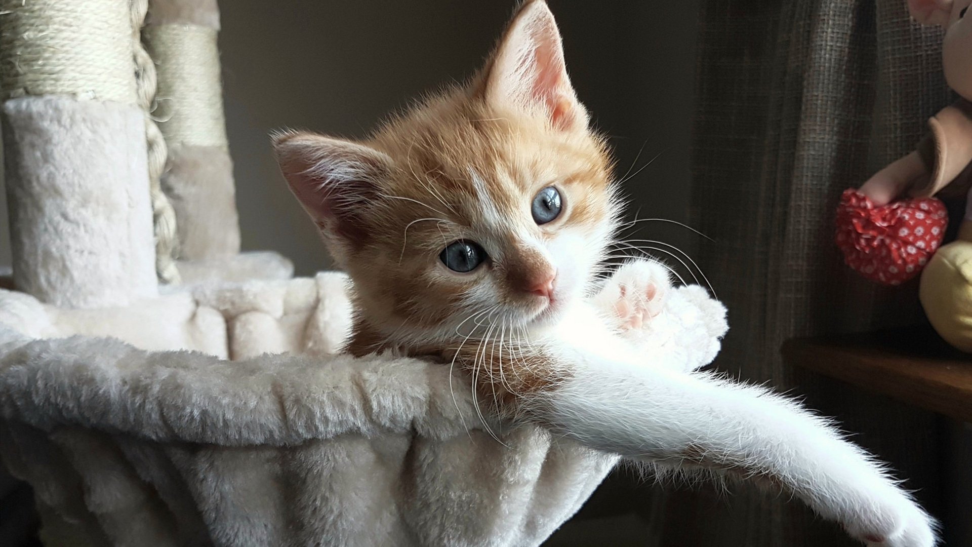 幽灵与利刃，劳塔罗的满格存在感如何撕裂莱比锡与委内瑞拉的战术棋盘