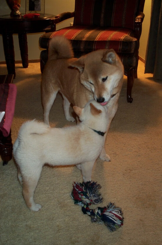 奥运周期背景下的NBA焦点战,快船压哨绝杀背后的双重战场