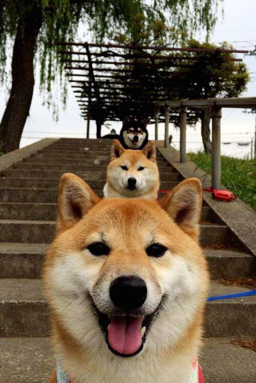 开云体育登录-当爵士乐遇上岭南风，拉文用巨星之光跨越篮球文化的山海