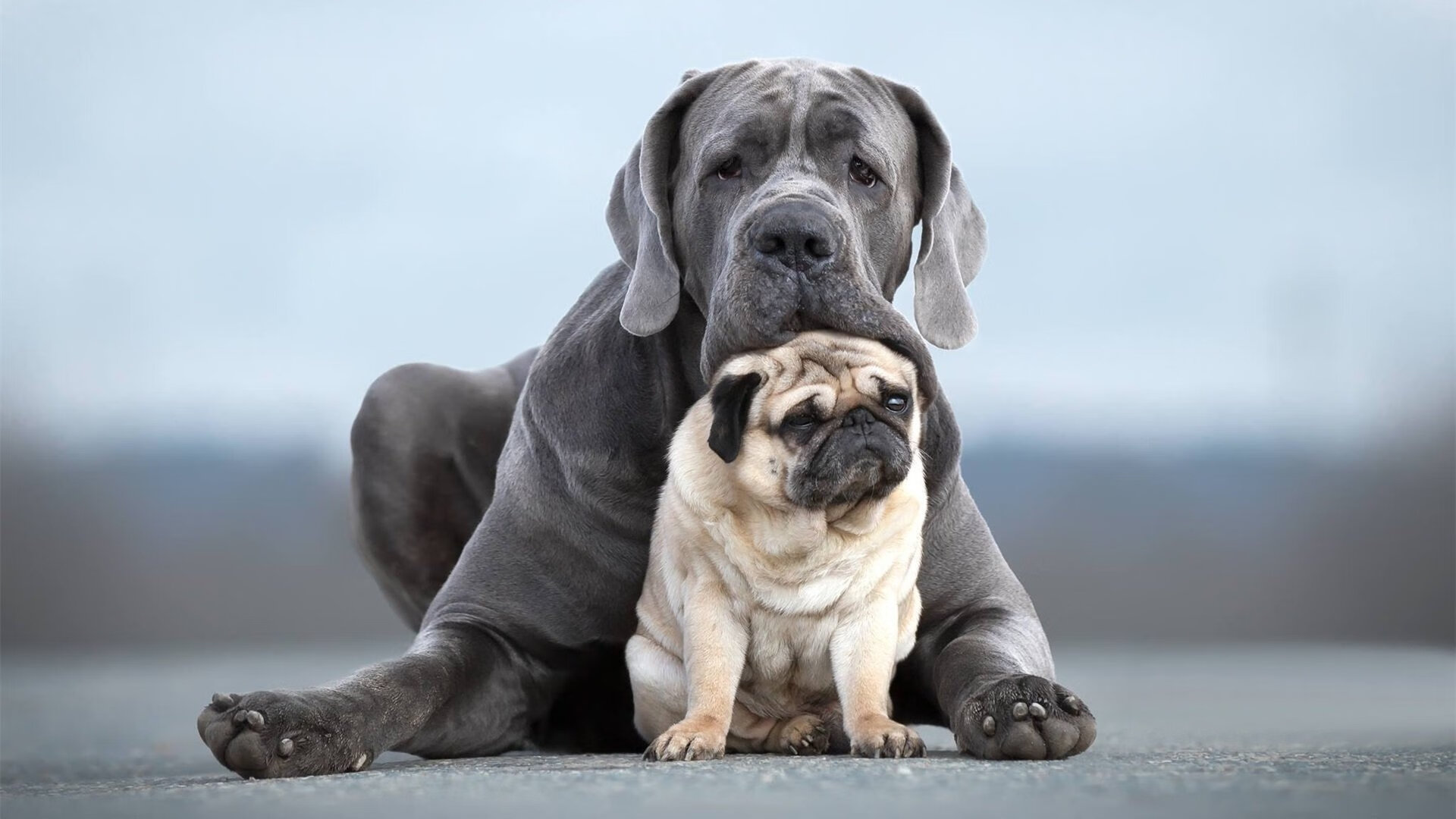 逆风的方向，更适合飞翔，世界排名争夺战之夜，欧文用实力撕裂质疑